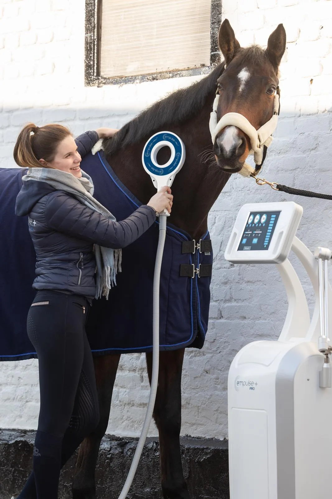 empulse PRO+ VET – Anwendung am Pferd in einer Pferdeklinik